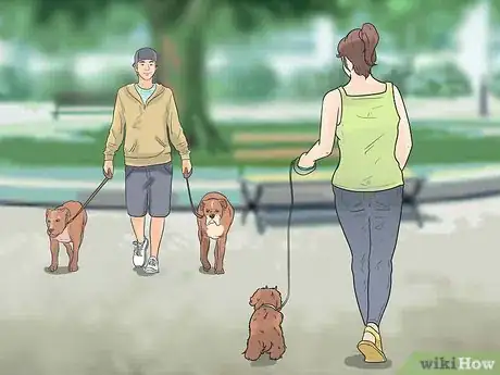 Imagen titulada Care for a Maltese Dog Step 14