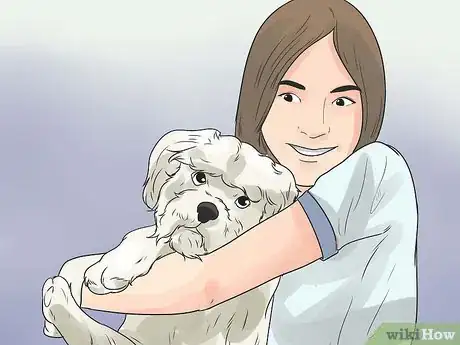 Imagen titulada Care for a Maltese Dog Step 17