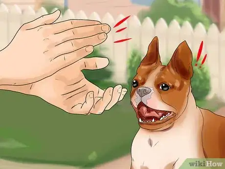 Imagen titulada Temperament Test a Dog Step 19