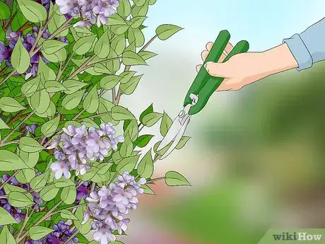Imagen titulada Keep Rats Away Step 11
