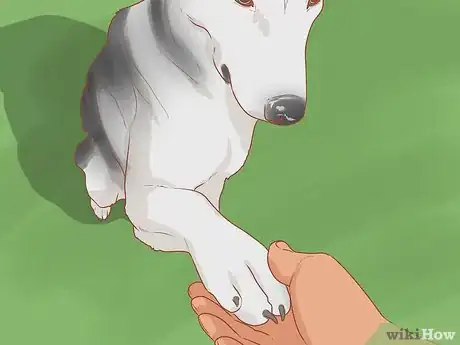 Imagen titulada Talk to a Dog Step 7