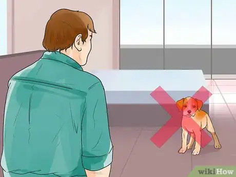 Imagen titulada Keep Fleas Off Dogs Step 14
