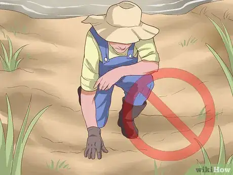Imagen titulada Recognize an Ascaris Infection Step 7