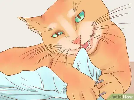 Imagen titulada Reduce Stress in Cats Step 8
