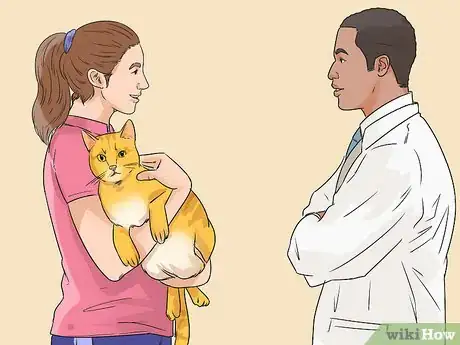 Imagen titulada Treat a Cat with Physical Therapy Step 1