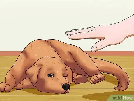 Imagen titulada Train Dogs Not to Bark Step 13