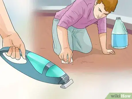 Imagen titulada Keep Fleas Off Dogs Step 18