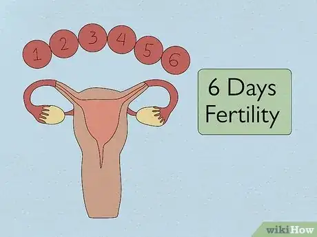 Imagen titulada Get a Paternity Test When the Mother Refuses Step 14