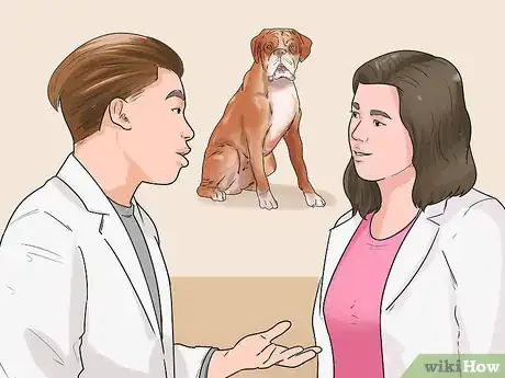 Imagen titulada Deal with Your Annoying Dog Step 12