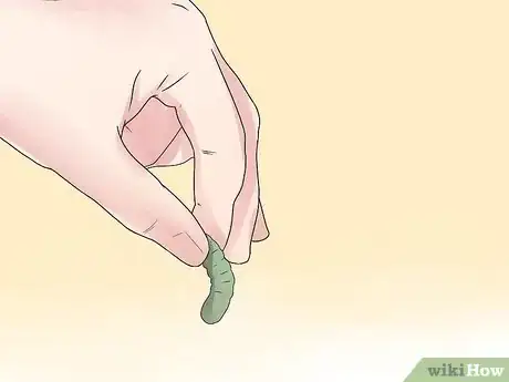 Imagen titulada Control Cutworms Step 2