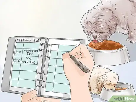 Imagen titulada Feed Your Shih Tzu Step 5