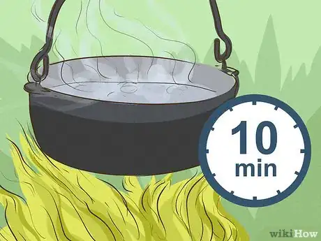 Imagen titulada Make Aspirin if You're Lost in the Woods Step 7