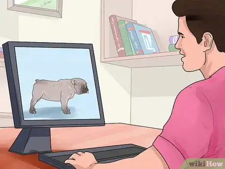 Imagen titulada Breed Dogs Step 1