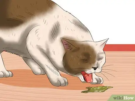 Imagen titulada Diagnose Feline Panleukopenia (Distemper) Step 2