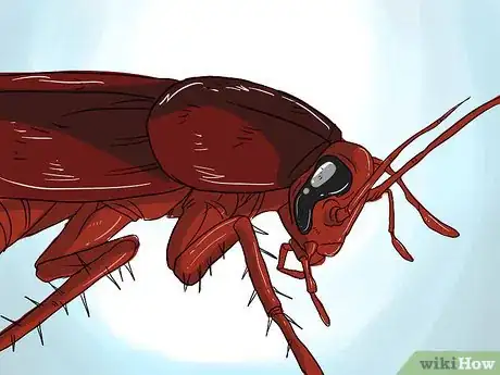 Imagen titulada Do Pest Control With a Vacuum Cleaner Step 7Bullet1
