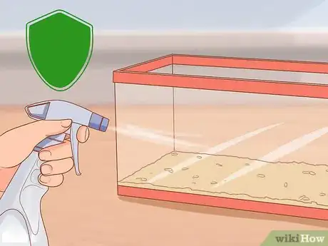 Imagen titulada Catch and Look After Wild Mice Step 11
