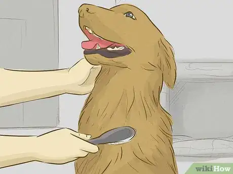 Imagen titulada Keep Your Dog Happy Step 12