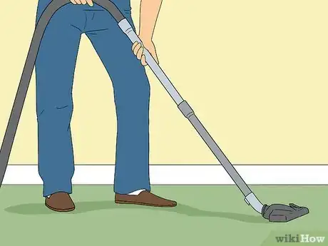 Imagen titulada Do Pest Control With a Vacuum Cleaner Step 3