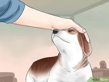 Imagen titulada Pick Up a Puppy Step 7