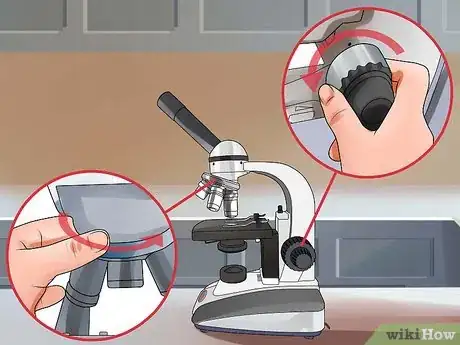 Imagen titulada Use a Compound Microscope Step 9