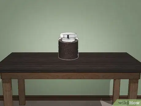 Imagen titulada Care for Ants Step 3