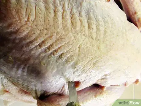 Imagen titulada Butcher and Remove the Pin Feathers of a Turkey Step 5