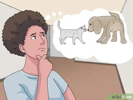 Imagen titulada Make a Cat and Dog Get Along Step 14