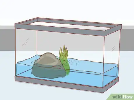 Imagen titulada Take Care of Baby Water Turtles Step 6
