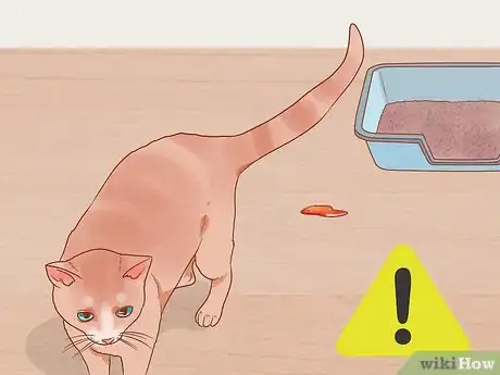 Imagen titulada Reduce Stress in Cats Step 4