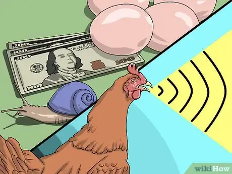 Imagen titulada Take Care of Chickens Step 7