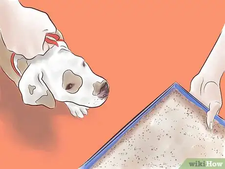 Imagen titulada Train a Pit Bull Step 4