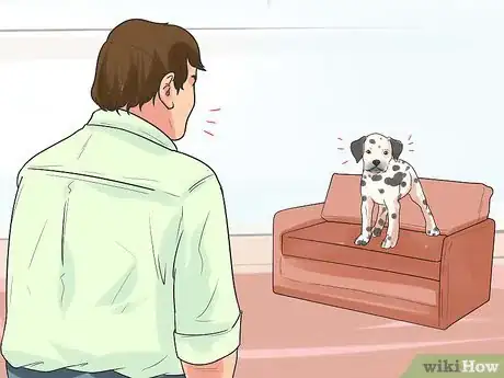 Imagen titulada Train Dalmatians Step 1