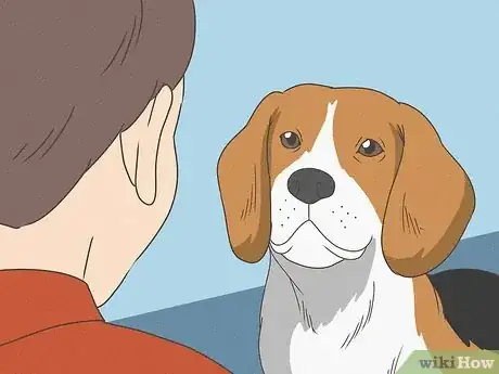Imagen titulada Tell Your Dog No Step 4