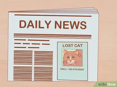Imagen titulada Find a Lost Cat Step 31