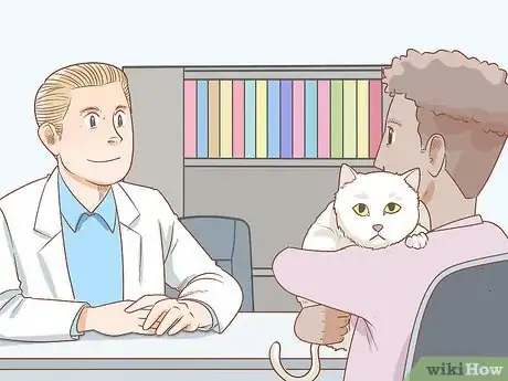 Imagen titulada Diagnose and Treat Hernias in Cats Step 14