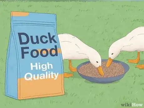 Imagen titulada Care for a Pet Duck Step 6