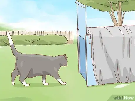 Imagen titulada Get Rid of Cats Step 10