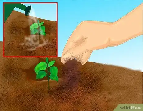 Imagen titulada Add Compost to Plants Step 6