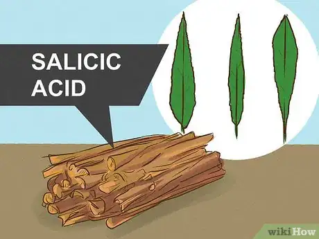Imagen titulada Make Aspirin if You're Lost in the Woods Step 3