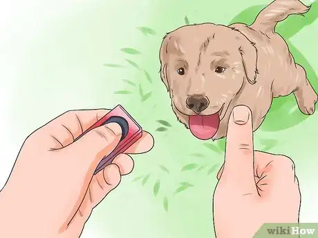 Imagen titulada Teach Your Dog Tricks Step 4