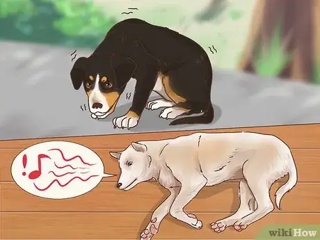 Imagen titulada Determine if You Should Euthanize Your Dog Step 5