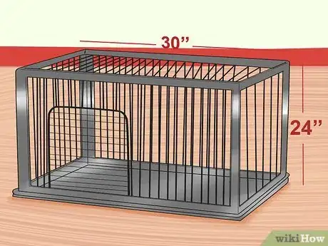 Imagen titulada Train Dachshunds Step 5