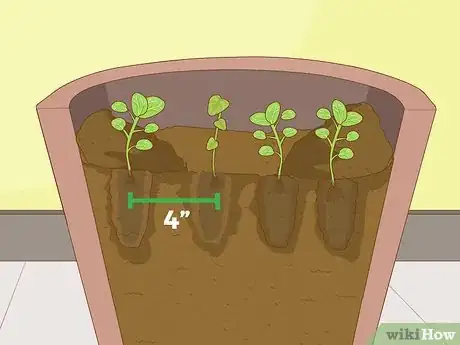 Imagen titulada Thin Out Seedlings Step 7