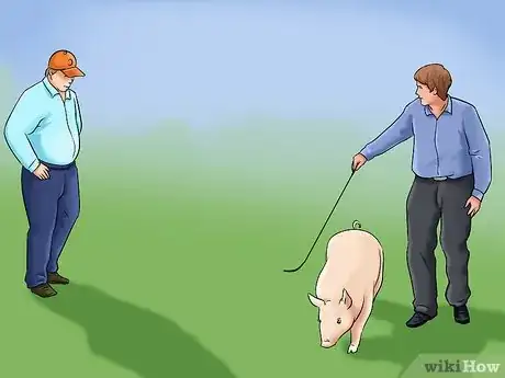 Imagen titulada Show Your Pigs Step 10