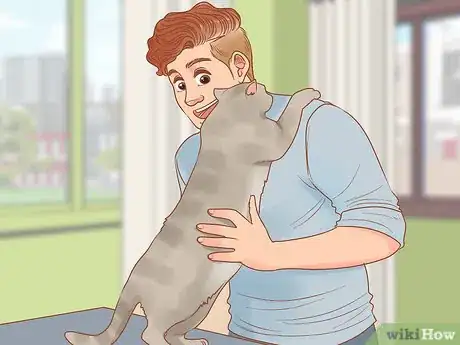 Imagen titulada Choose a Lap Cat Step 7