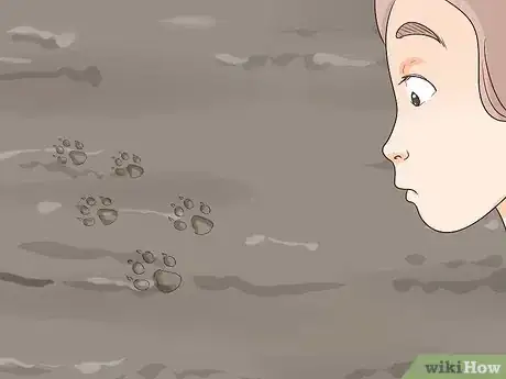 Imagen titulada Find a Lost Dog Step 10