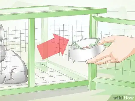 Imagen titulada Clean a Rabbit Cage Step 1