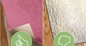 deshacerte de los escarabajos de alfombra