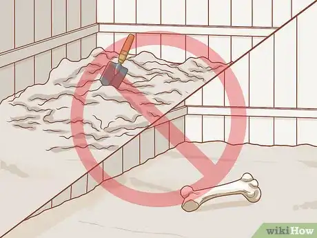 Imagen titulada Stop a Dog from Digging Step 11