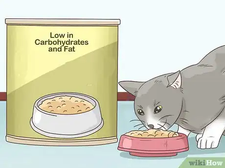 Imagen titulada Feed a Diabetic Cat Step 4